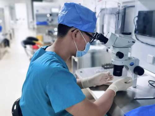 温州供卵三代试管技术有哪些优势？适用人群全解析