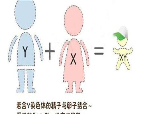 试管婴儿费用明细：检查、促排、取卵、移植各阶段花多少钱？